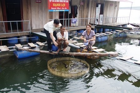 ngu-truong-dac-biet-tren-long-ho-thuy-dien-son-la