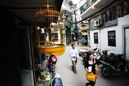 binh-yen-ngo-tho-xuong-o-ha-noi