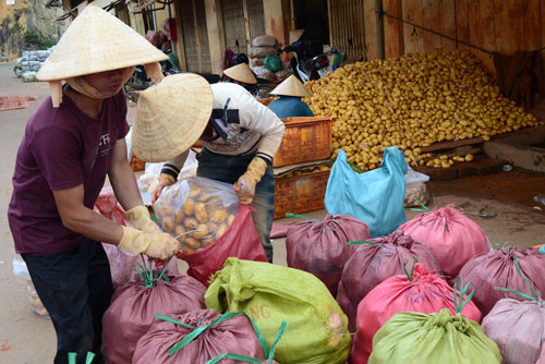 can-canh-rua-nguon-goc-khoai-tay-trung-quoc