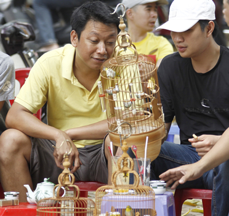 Đại gia Hà thành bỏ trăm triệu đồng chơi chim 2