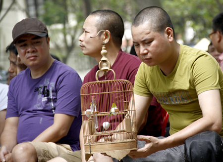 Đại gia Hà thành bỏ trăm triệu đồng chơi chim 4