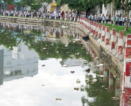 Cần Thơ: Ngập tràn rác trong ngày phát động...tuyến đường kiểu mẫu 6