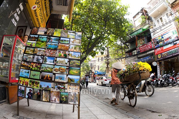 Chùm ảnh: Hà Nội rực rỡ nắng đầu đông 26