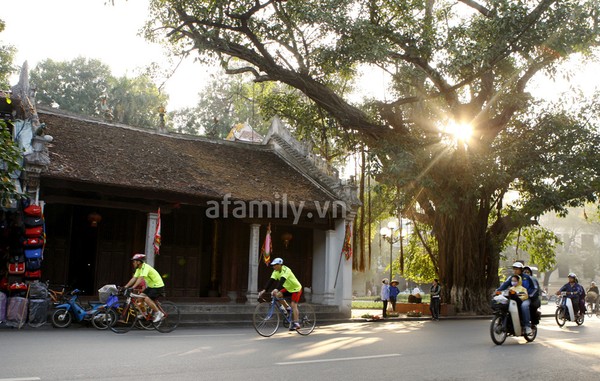 Chùm ảnh: Hà Nội rực rỡ nắng đầu đông 2