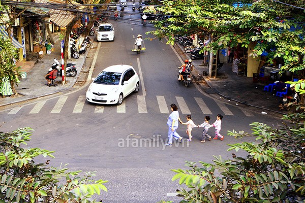 Chùm ảnh: Hà Nội rực rỡ nắng đầu đông 8