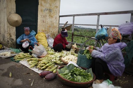 Co ro trong mưa rét đầu mùa ở Thủ đô 7