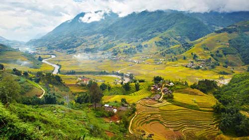 Đồng lúa mướt xanh Việt Nam qua lăng kính người nước ngoài 8