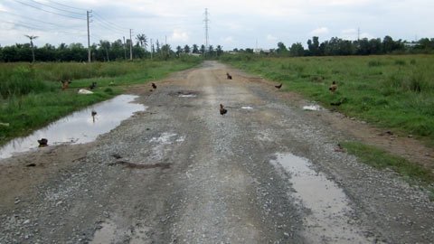 TP.HCM: Cảng quốc tế hàng trăm tỷ hoang tàn 1