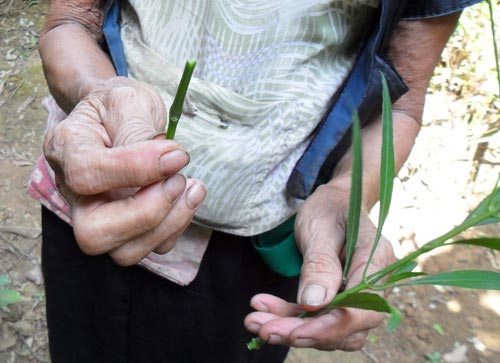 tu-pha-thai-dung-chet-vi-thieu-hieu-biet