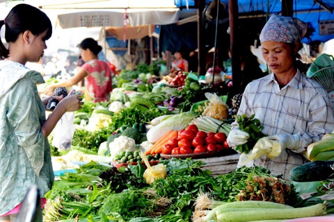 Chỉ số giá tiêu dùng cả nước tăng 0,47% 1