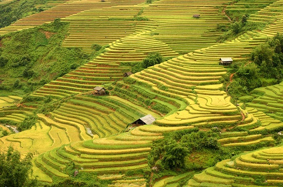 ngam-ruong-bac-thang-vung-tay-bac-dep-nhu-trong-tranh