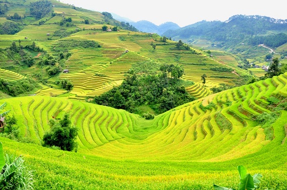 ngam-ruong-bac-thang-vung-tay-bac-dep-nhu-trong-tranh