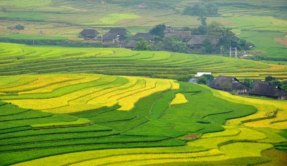 ngam-ruong-bac-thang-vung-tay-bac-dep-nhu-trong-tranh