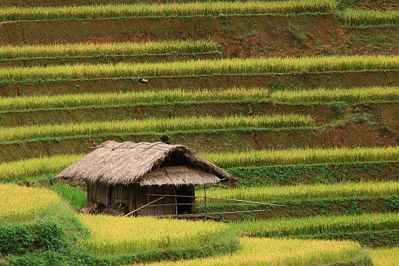 ngam-ruong-bac-thang-vung-tay-bac-dep-nhu-trong-tranh