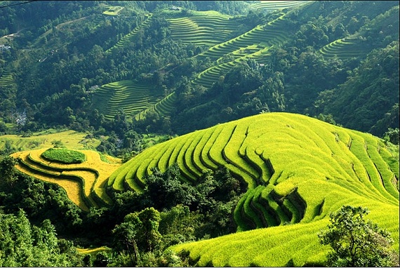 ngam-ruong-bac-thang-vung-tay-bac-dep-nhu-trong-tranh