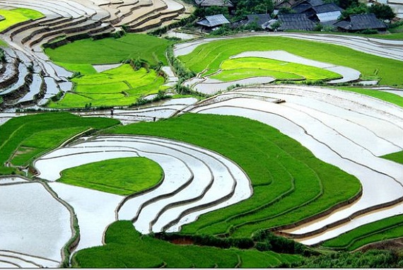 ngam-ruong-bac-thang-vung-tay-bac-dep-nhu-trong-tranh