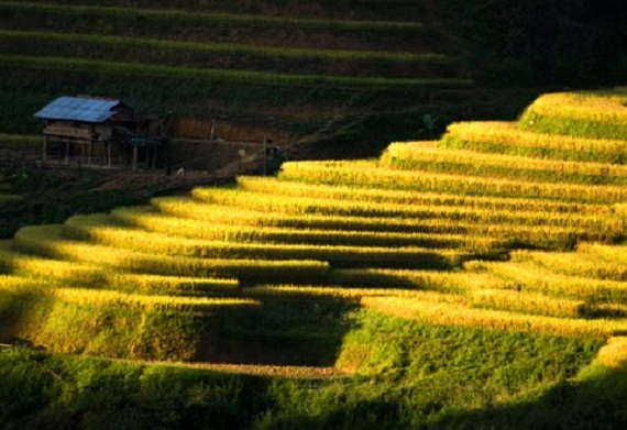 ngam-ruong-bac-thang-vung-tay-bac-dep-nhu-trong-tranh