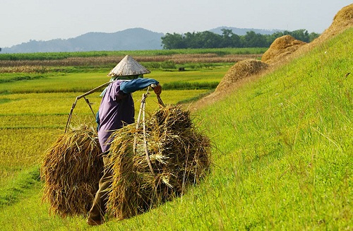 chum-anh-quang-ganh-nang-triu-doi-vai-nguoi-phu-nu-viet