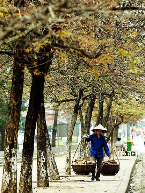 chum-anh-quang-ganh-nang-triu-doi-vai-nguoi-phu-nu-viet