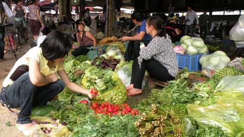 chuyen-doi-cua-co-hang-rau-gop-tien-le-dung-cau-o-thuoc