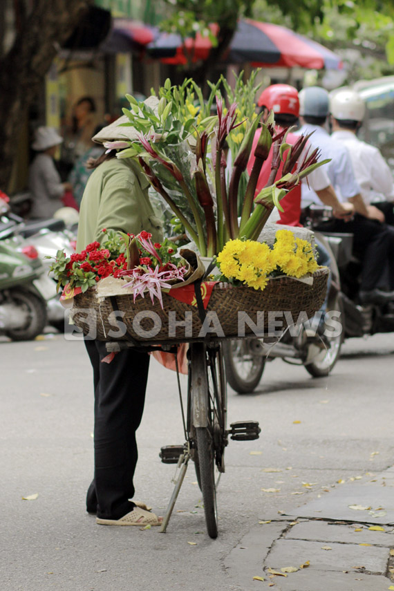 chum-anh-dep-nhu-mua-thu-ha-noi