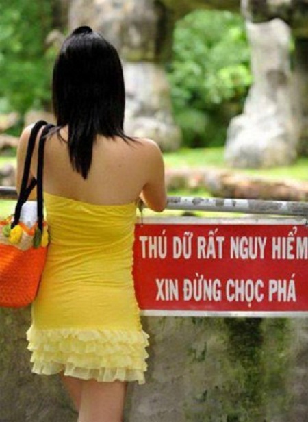 cuoi-te-ghe-voi-nhung-bo-canh-chi-co-o-viet-nam