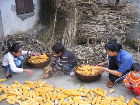 Quặn lòng người vợ quanh năm nhốt chồng thần kinh 3