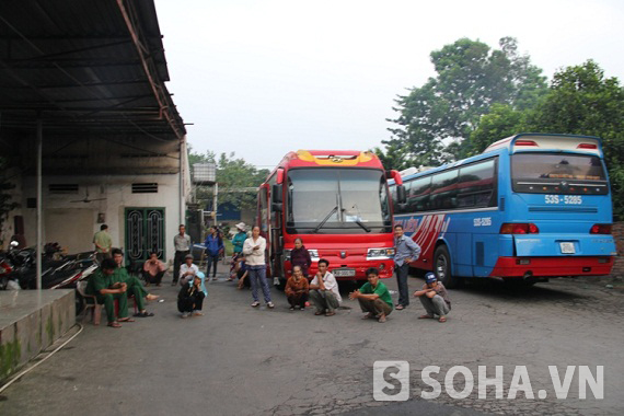 TP.HCM: Bắt 2 xe khách vận chuyển gà, da heo hôi thối 2