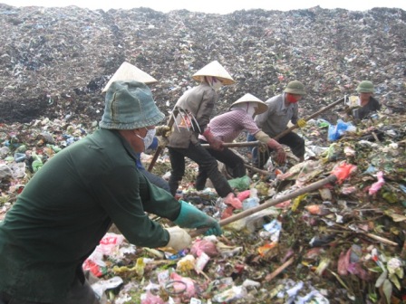 Hì hục bới rác