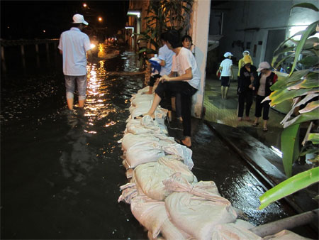 Những bờ bao giữa thành phố.