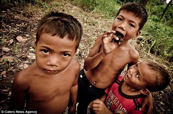 Thú vui săn nhện độc để ăn của trẻ em nông thôn Campuchia 9