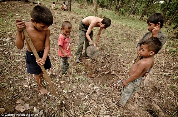 Thú vui săn nhện độc để ăn của trẻ em nông thôn Campuchia 10
