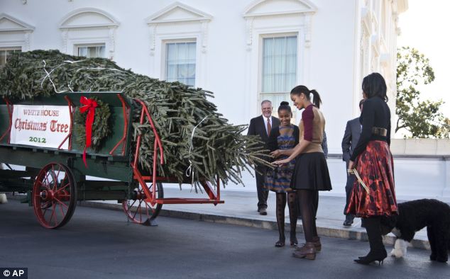 Nghi thức đón cây thông Noel của mẹ con nhà Obama 1