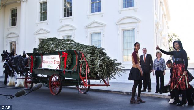 Nghi thức đón cây thông Noel của mẹ con nhà Obama 3