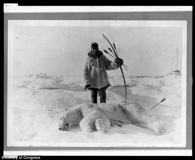 Survivors: An Eskimo hunter poses with bow and arrows above a slain polar bear seen in 1924 with arrows protruding from its chest