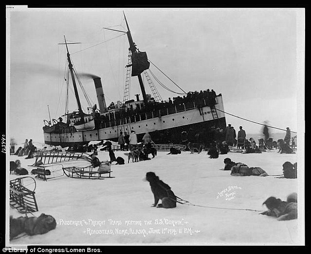 Exciting welcome: People with dog teams meet the S.S. Corwin in Nome, Alaska in 1914