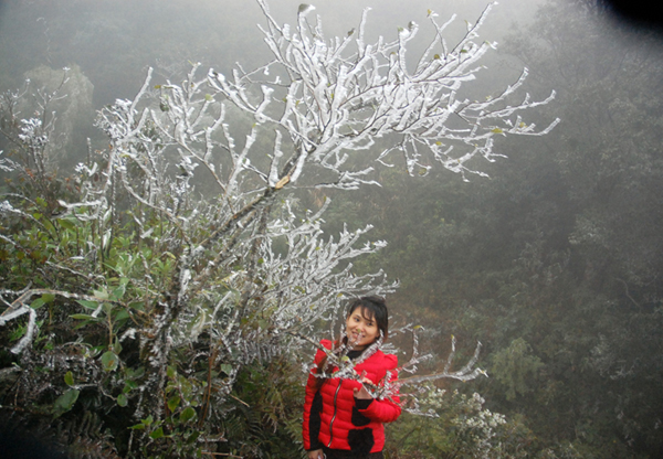 Băng tuyết đã xuất hiện tại Sa Pa và một số điểm tại Lào Cai do nhiệt độ giảm sâu. (Ảnh Ngọc Bằng - Báo Lào Cai)