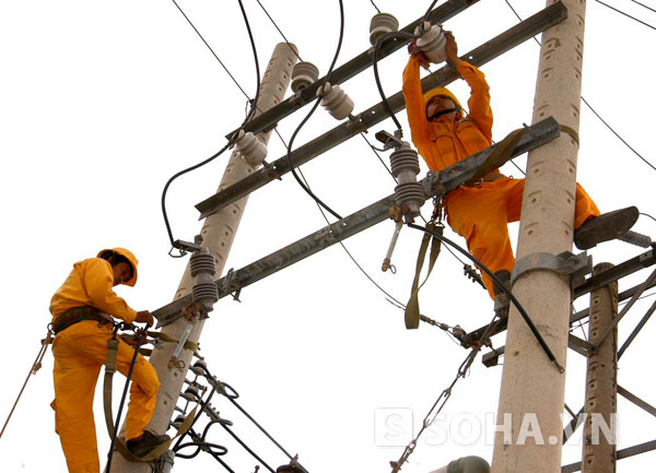 Hạn chế lớn nhất hiện nay của ngành điện nước ta là sự độc quyền thị trường điện trong nước và thiếu minh bạch trong giá bán điện. Chính sự độc quyền và thiếu minh bạch này đã “bóp méo” thị trường điện.