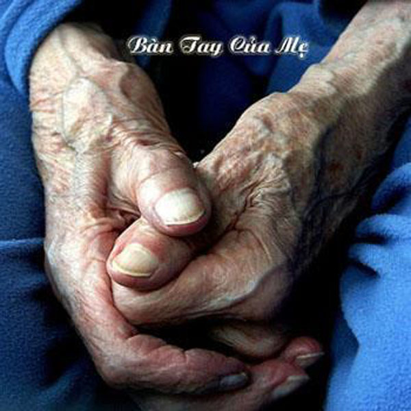 Cảm xúc mềm mại của bức ảnh về bàn tay của mẹ sẽ khiến bạn cảm thấy yêu thương và bình an. Đôi tay của mẹ là nơi yên bình và an toàn nhất cho chúng ta.