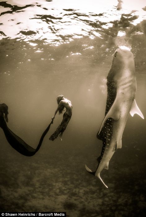 Underwater model, Hannah Fraser, rises with ae th