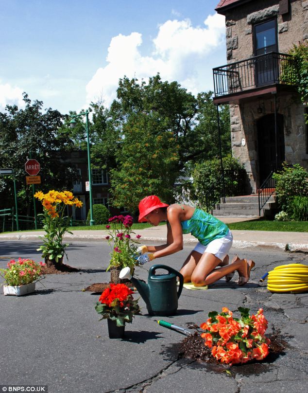 Pretty makeover: A gardener makes use of the holes in the ground by filling them with soil and plants