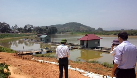 Những bè cá ở xã Quang Húc trên sông Bứa mang lại kinh tế cao cho người dân