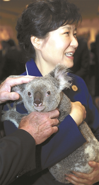 Tổng thống Hàn Quốc Park Geun-hye ôm gấu koala tại Hội nghị thưởng đỉnh G-20 vừa qua.