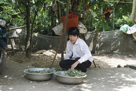 Kỳ tích khó tin của chàng thủ khoa “tay trái” ở xứ chè Thái Nguyên