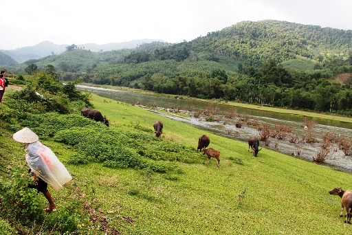 lội sông, đến trường, sông Đinh, phập phồng