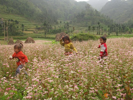 Dải đất hình chữ S của chúng ta được cộng điểm ở cảnh đẹp, thức ăn ngon và chi phí dịch vụ thấp. Ảnh: Hải Ngọc