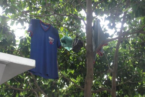 Quần áo phơi treo lủng lẳng trên cây giữa trung tâm Sài Gòn