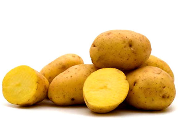 Image result for khoai tây