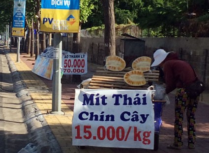 Một hàng “mít Thái chín cây” được bày bán trên vỉa hè (đường 30-4, TP. Vũng Tàu).