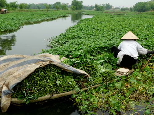 Hình ảnh  số 1